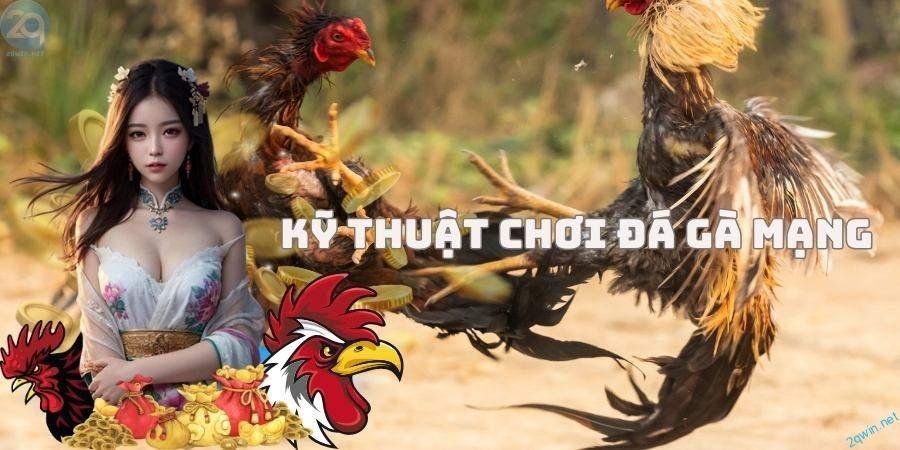 Cách chơi đá gà mạng